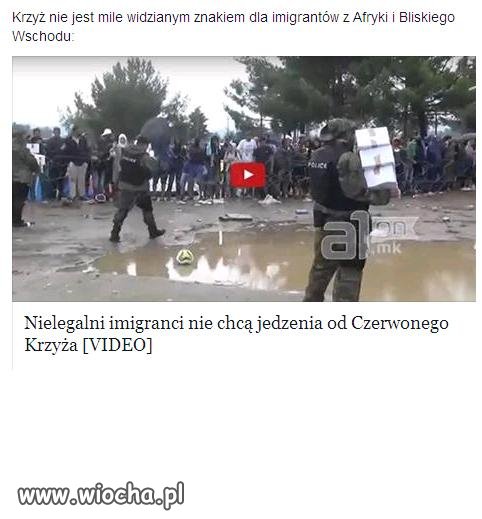 Islamiości nie chcą jedzenia od Czerwonego Krzyża