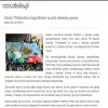 Oczywiście Islamistą zawsze się dzieje krzywda