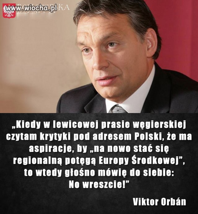 Gospodarczy i militarny sojusz z Węgrami 