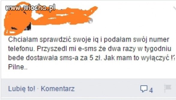 Sprawdzanie IQ
