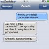 Wielka miłość