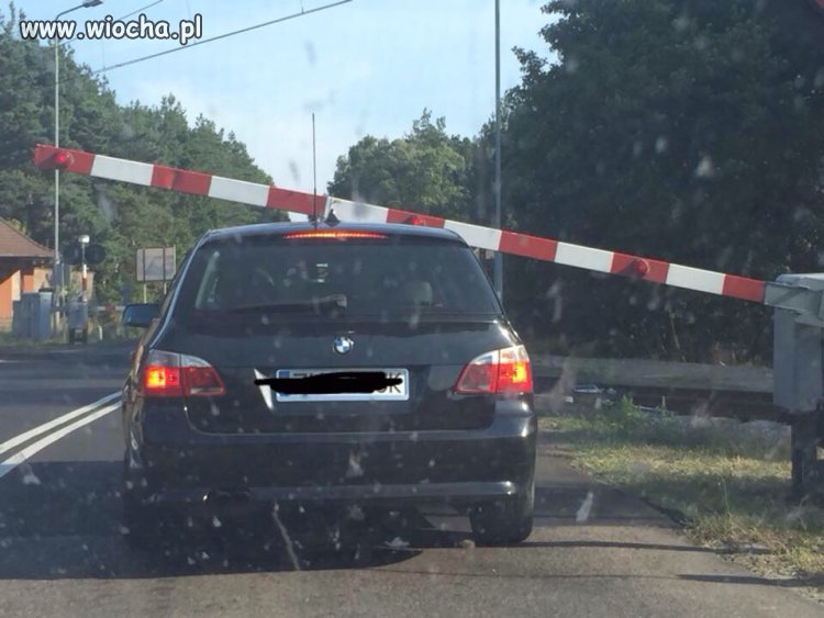 Cykała się ale rady nie dała.