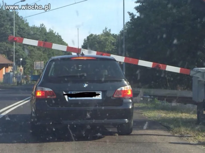 Cykała się ale rady nie dała.