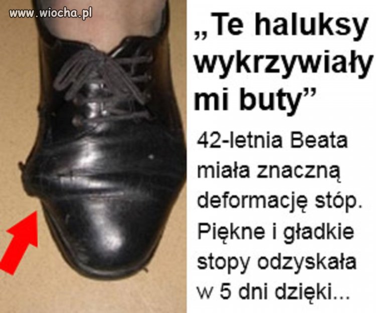 Autentyk, reklama sponsorowana z głównej WP