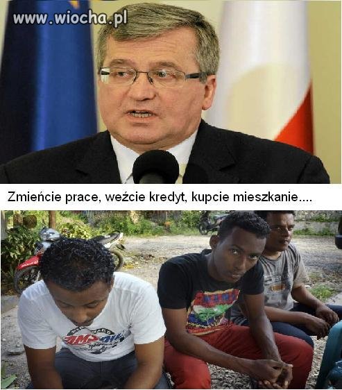 Imigranci 