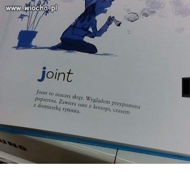 Edukacja 