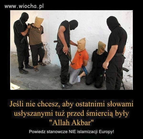 I po kiego Kija Jan III Sobieski ich przepędził 