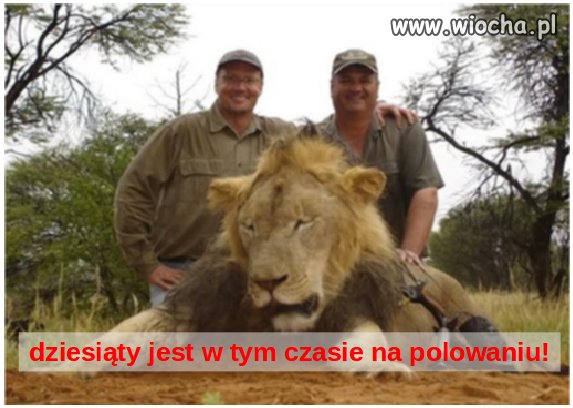 Dlaczego tylko 9 na 10 dentystów poleca