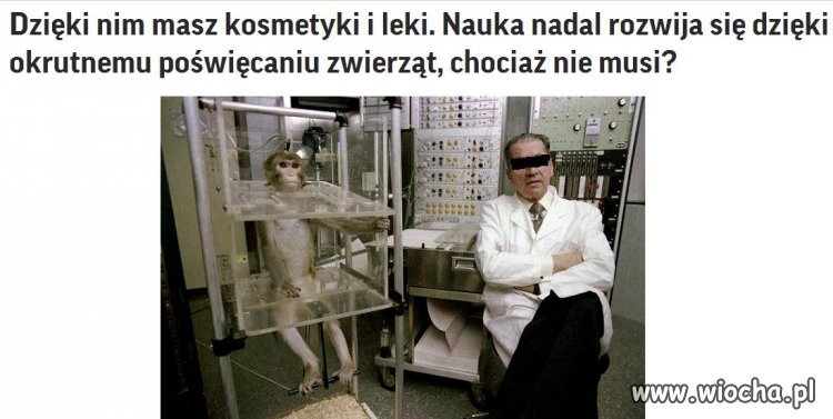 Kocham zwierzęta bardziej od ludzi.