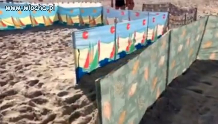 Plaża zarezerwowana parawanami od 6 rano