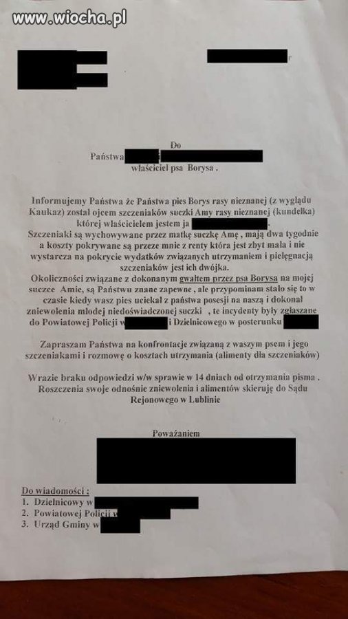 Czy przyznaje się Pan do czynu?