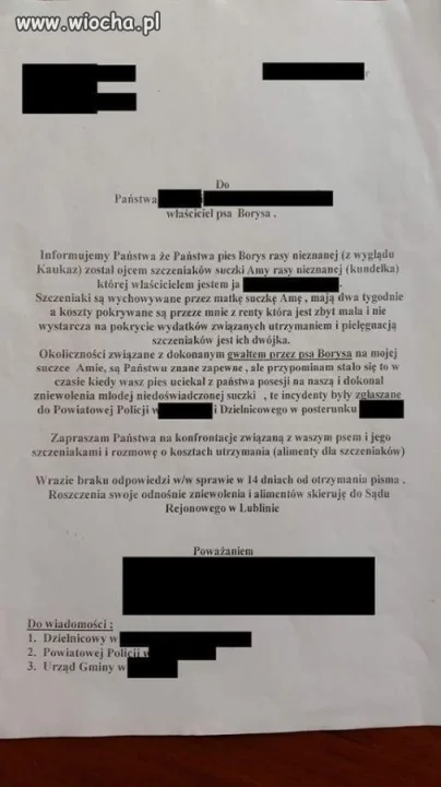 Czy przyznaje się Pan do czynu?