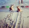 ABS   