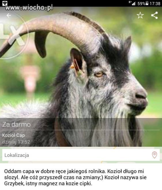  ktoś chętny?