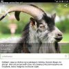  ktoś chętny?