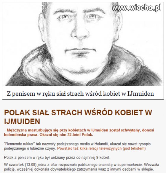 Polak w Holandii
