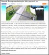Brońmy człowieka który zabił innego, przecież tak 