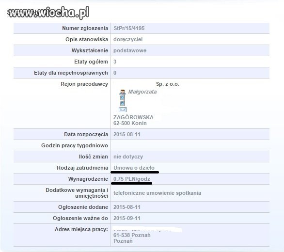 Oferta pracy