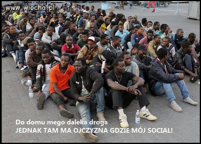 W Polsce im się nie podoba