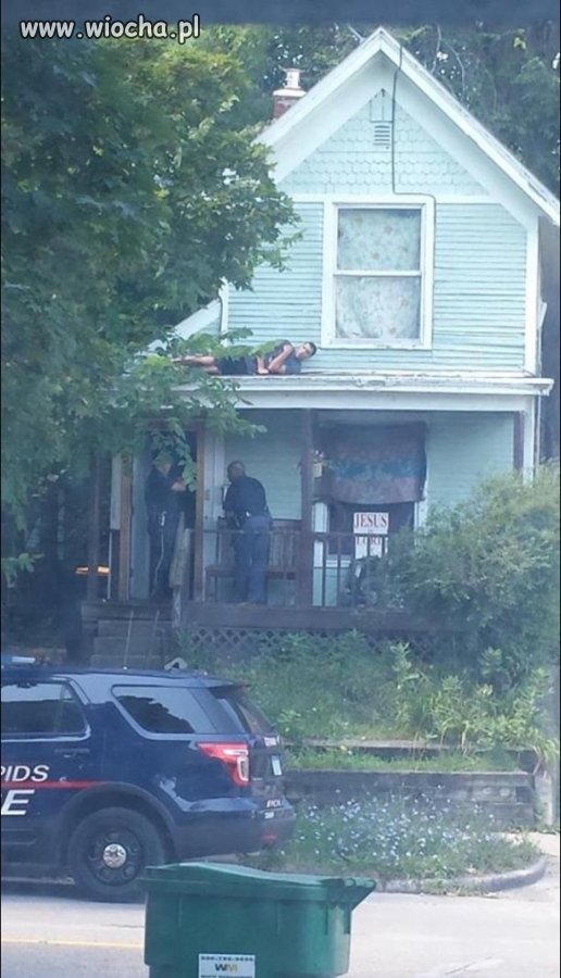 Ninja