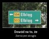 A oto dowód 