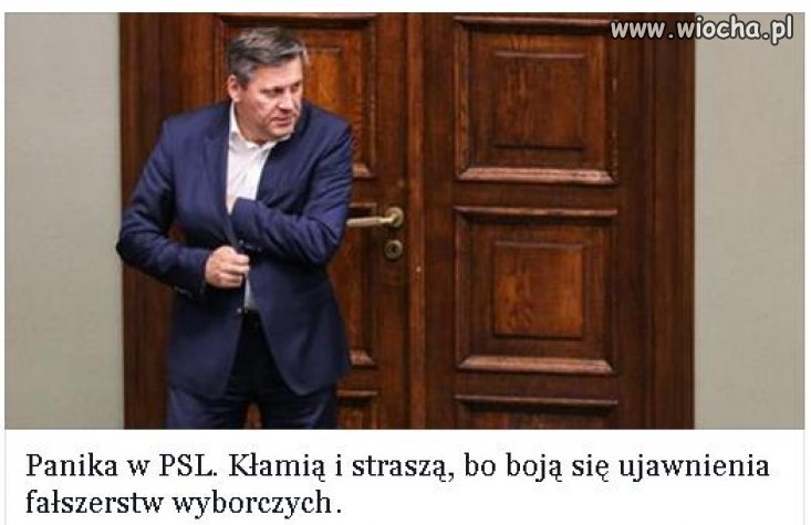 Polityczne prostytutki robią w gacie. 