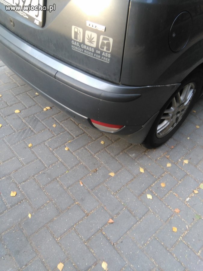 Fan autostopowiczów.