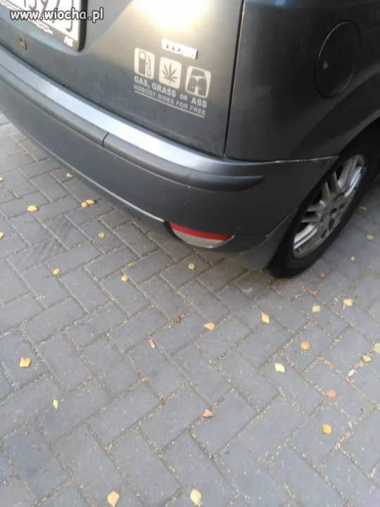 Fan autostopowiczów.