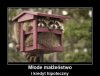 Młode małżeństwo