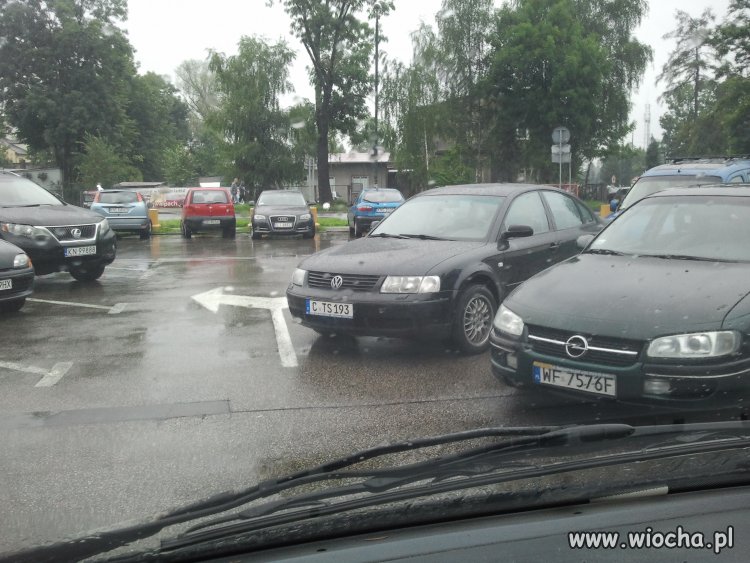 Mistrz parkowania