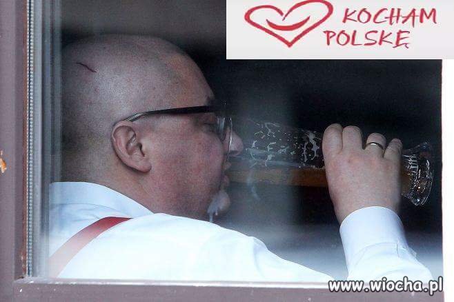 Członek PIS, członek PO