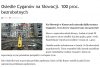 A Wy mówicie , że mamy Problem z Cyganami !