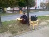 Można, można … życie na łonie … 
