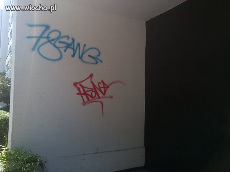 Patologia