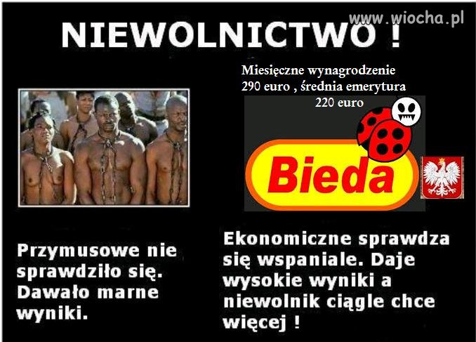 Niewolnictwo w Polsce wypłata 290 euro