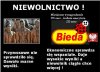 Niewolnictwo w Polsce wypłata 290 euro
