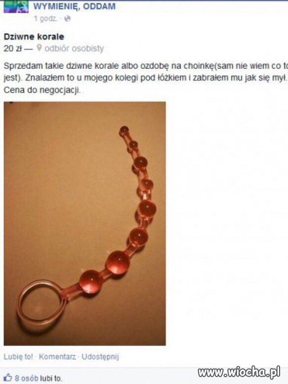 DZIWNE KORALE U MOJEGO KOLEGI!