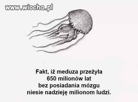 Meduza