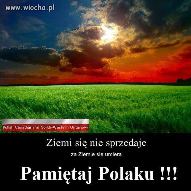 Szkoda, że nasza już jest w obcych rękach.