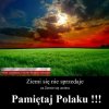 Szkoda, że nasza już jest w obcych rękach.