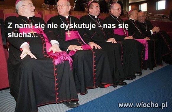 Siedzą takie spasione świnie
