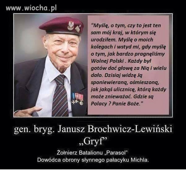 No właśnie gdzie są Polacy?