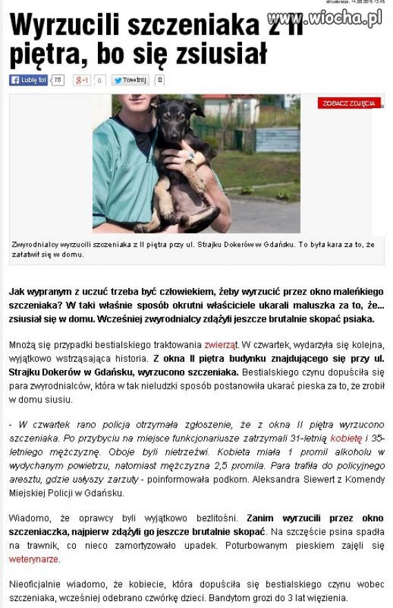 I za to grozi zaledwie 3 lata... 