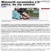 I za to grozi zaledwie 3 lata... 