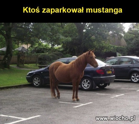 Parkowanie