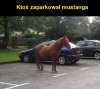 Parkowanie