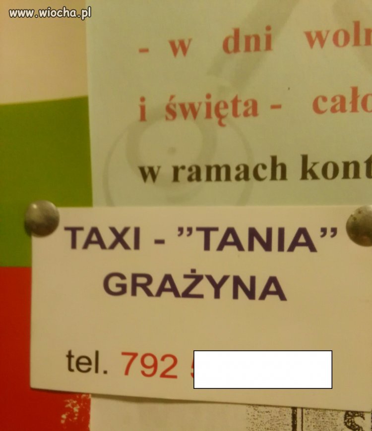Trafili z nazwą.