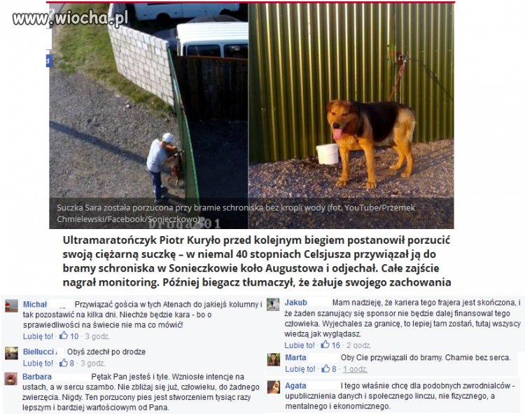 Znany maratończyk który obiegł świat tak pozbył się psa