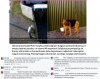Znany maratończyk który obiegł świat tak pozbył się psa