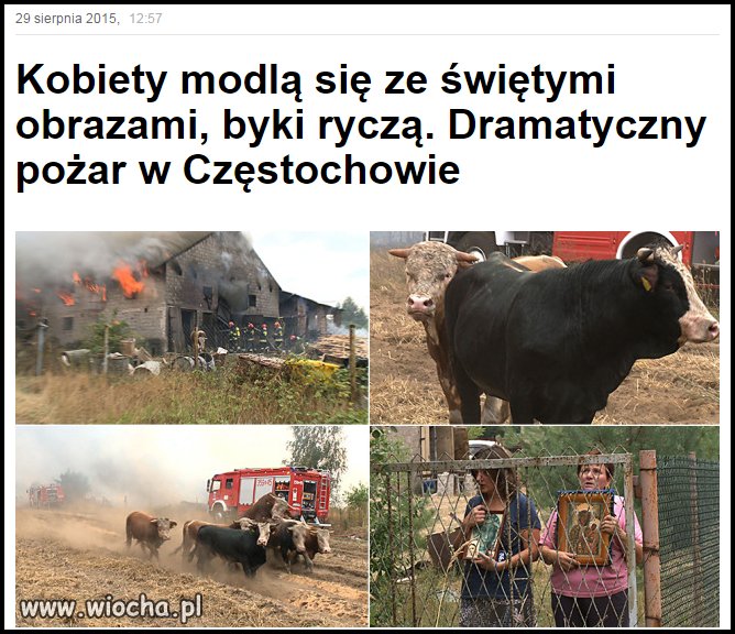 Czy płakać czy śmiać się?